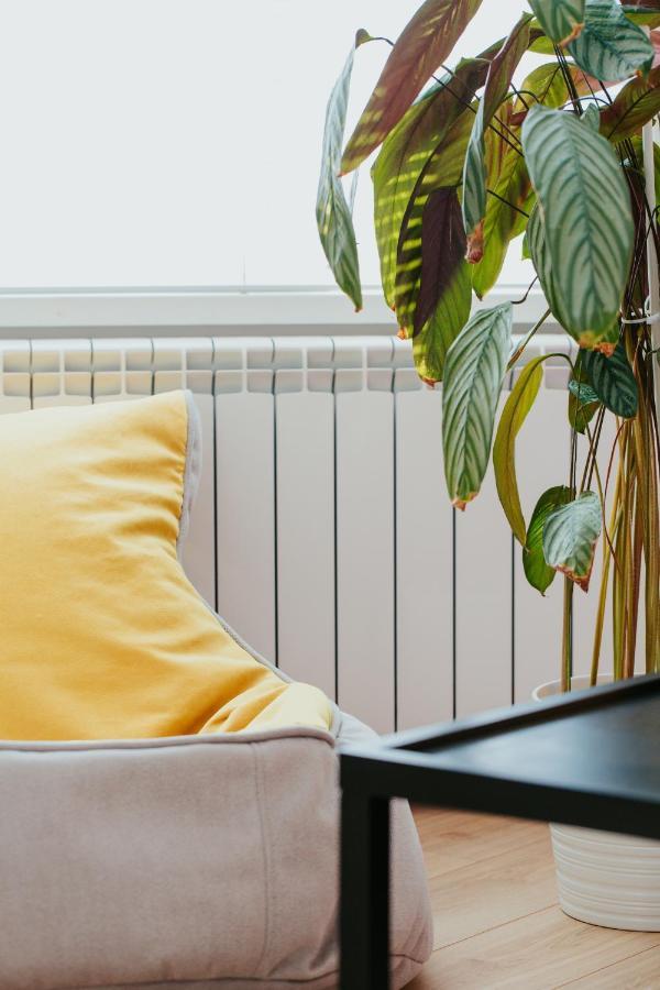 Color Apartments Corneliu Coposu 1A Street Βουκουρέστι Εξωτερικό φωτογραφία