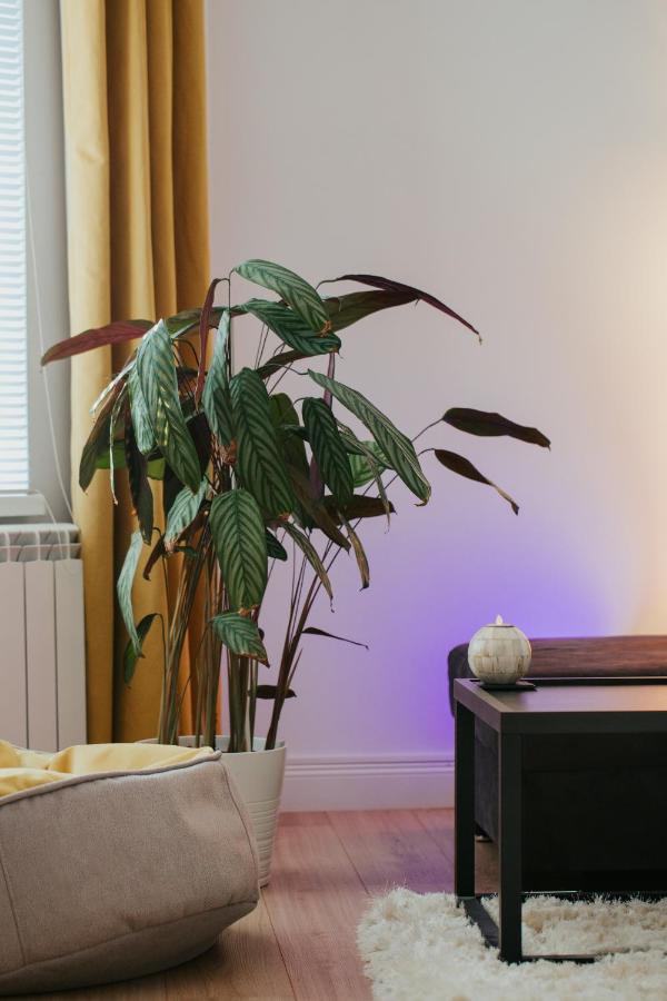 Color Apartments Corneliu Coposu 1A Street Βουκουρέστι Εξωτερικό φωτογραφία